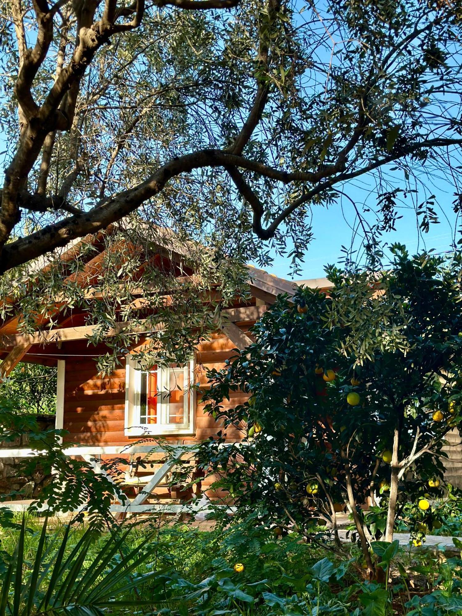 The Mussel House Сasa de vacaciones Ksamil