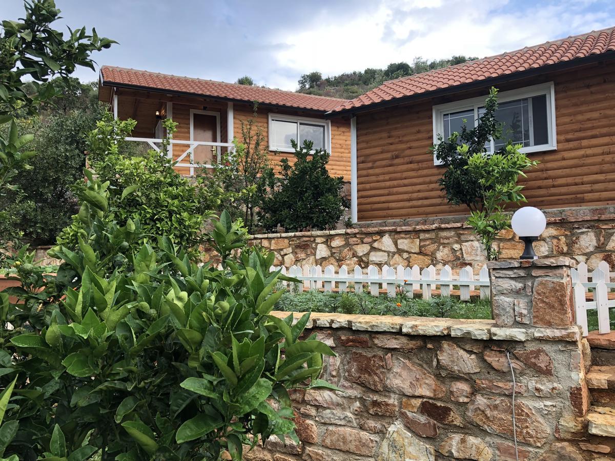 The Mussel House Ksamil